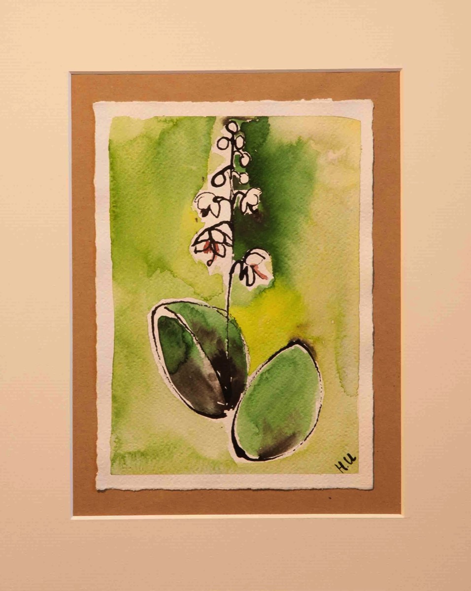 Aquarelle and ink on paper 39*30cm