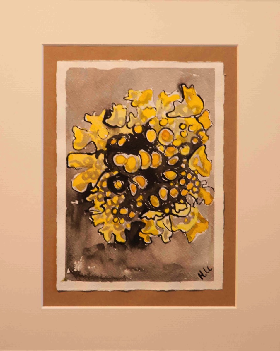 Aquarelle and ink on paper 39*30cm