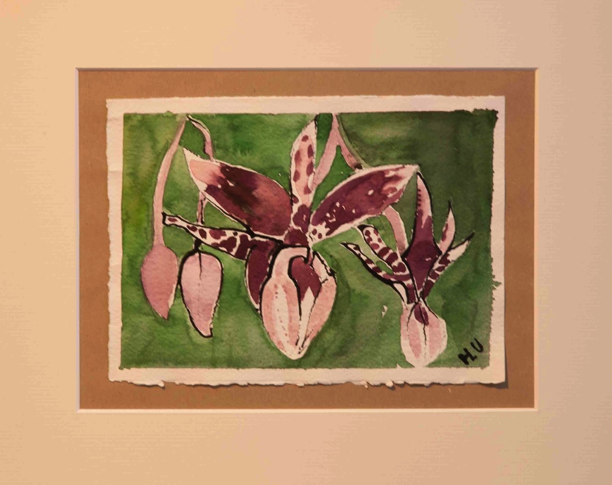 Aquarelle and ink on paper 39*30cm